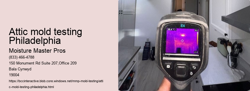 Attic mold testing Philadelphia