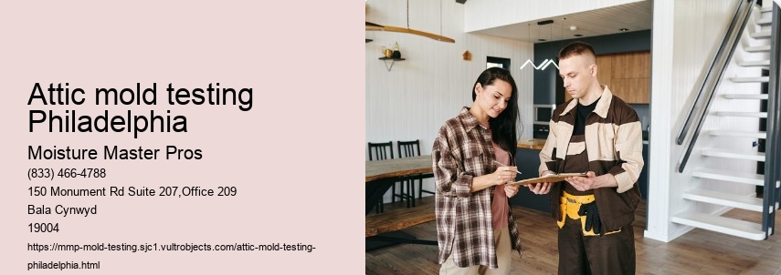 How to Find Reliable Mold Testing Services in Philadelphia