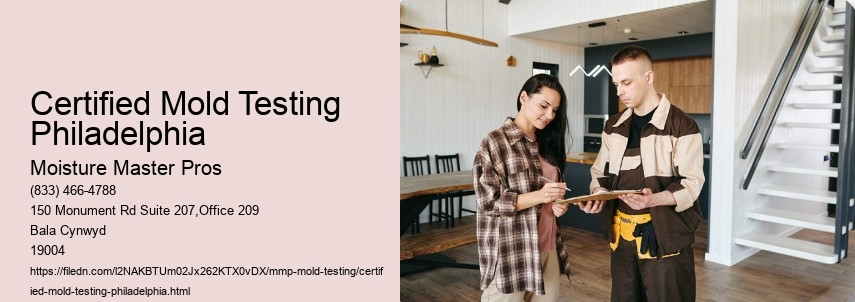 What is the Impact of Neglecting Mold Testing in Philadelphia Properties? 