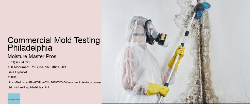 What is the Role of Certified Inspectors in Philadelphia Mold Testing? 