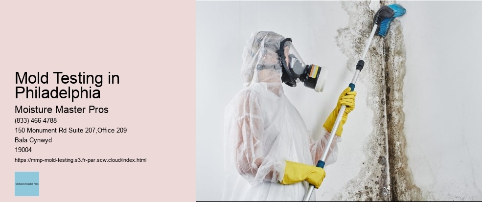 How to find professional mold testing services in Philadelphia.