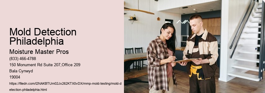 The importance of mold testing in Philadelphia homes.