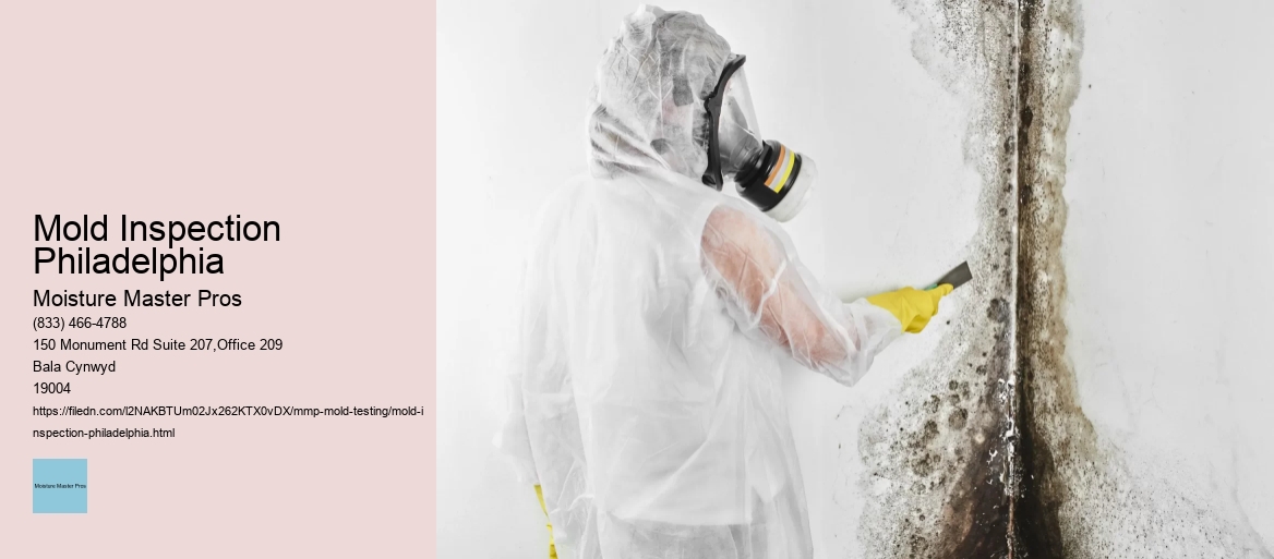 Mold Inspection Philadelphia
