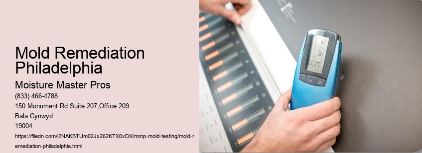 Mold Remediation Philadelphia