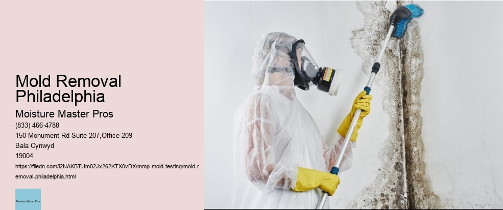 The process and techniques used for mold testing in Philadelphia.