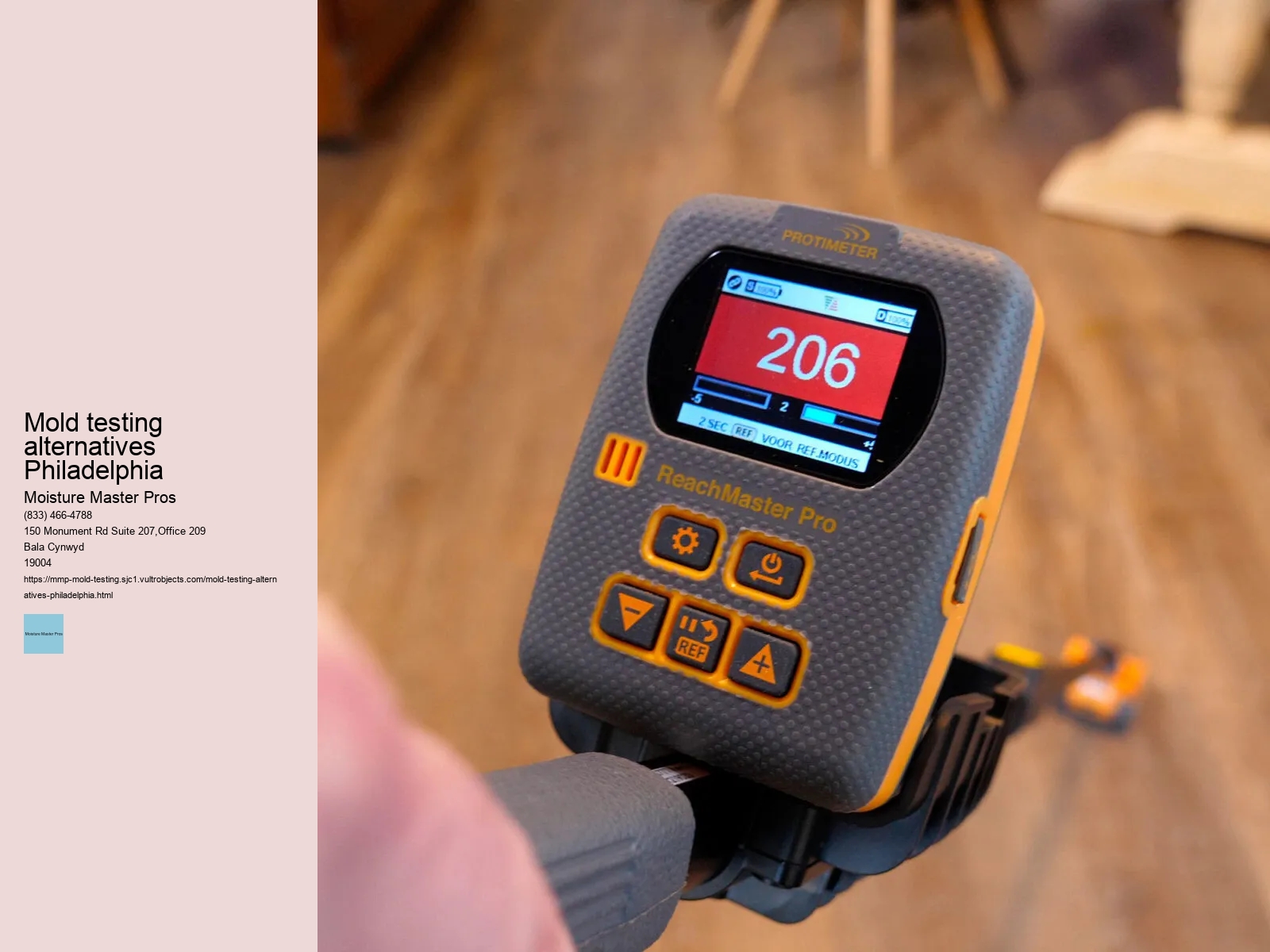 How to Choose the Right Professionals for Mold Testing in Philadelphia