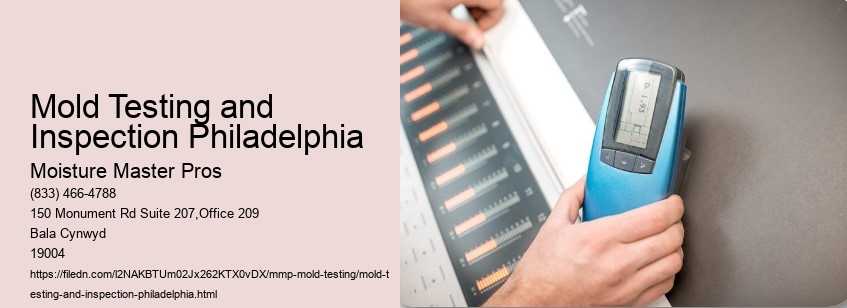 Mold Testing and Inspection Philadelphia