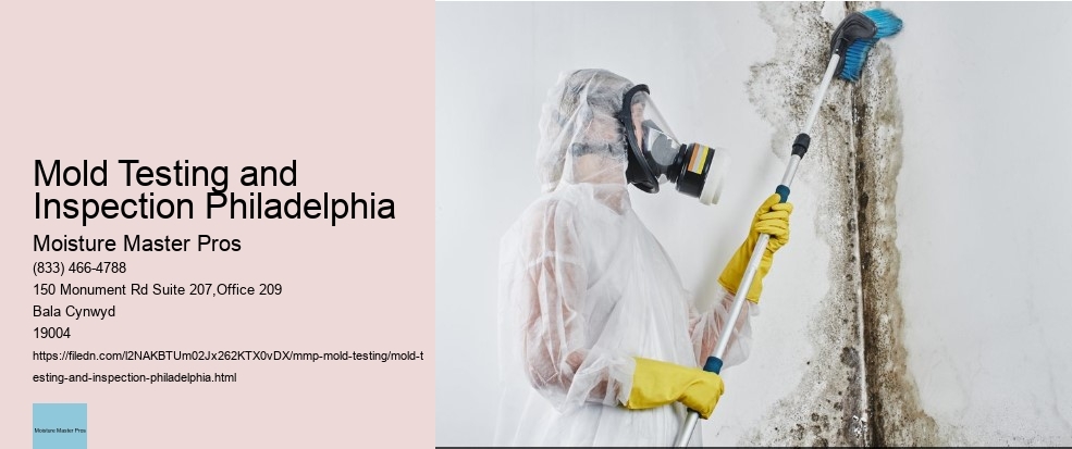 What is the Process of Mold Testing in Philadelphia?
