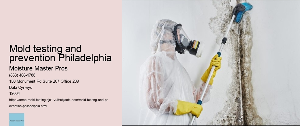 Exploring the relationship between moisture level and mold growth: A focus on Philadelphia's climate.