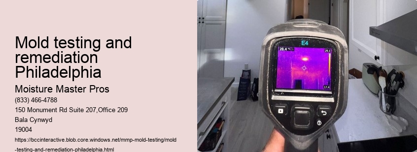 Mold testing and remediation Philadelphia