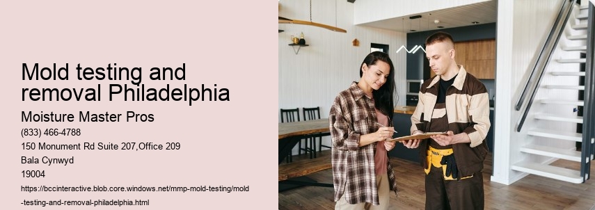 Mold testing and removal Philadelphia