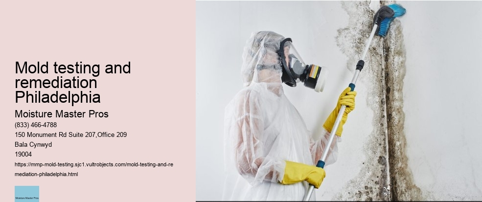 How to Conduct a DIY Mold Test in Your Philadelphia Home