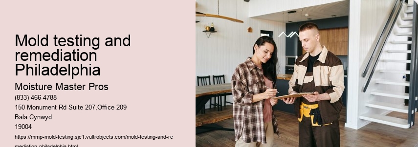 What is the Significance of Mold Testing in Philadelphia Homes?