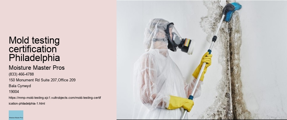 Tips on How to Ensure Accurate Results from Your Philadelphia Mold Test