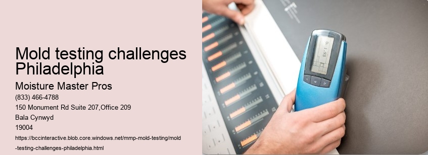 Mold testing challenges Philadelphia