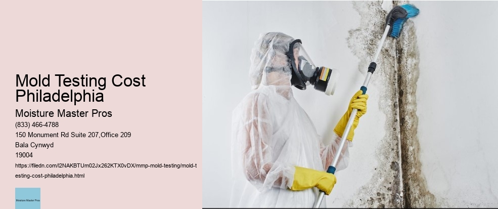 How to React when your Philadelphia Property Tests Positive for Mold