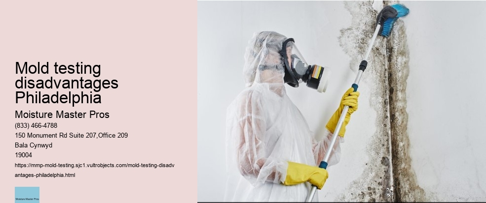 How to find professional mold testing services in Philadelphia.