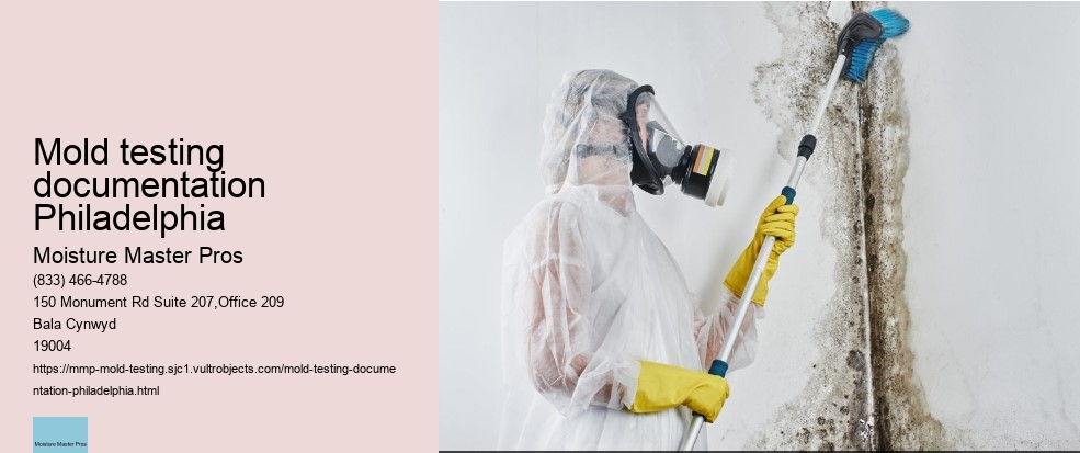How to Choose the Right Professionals for Mold Testing in Philadelphia