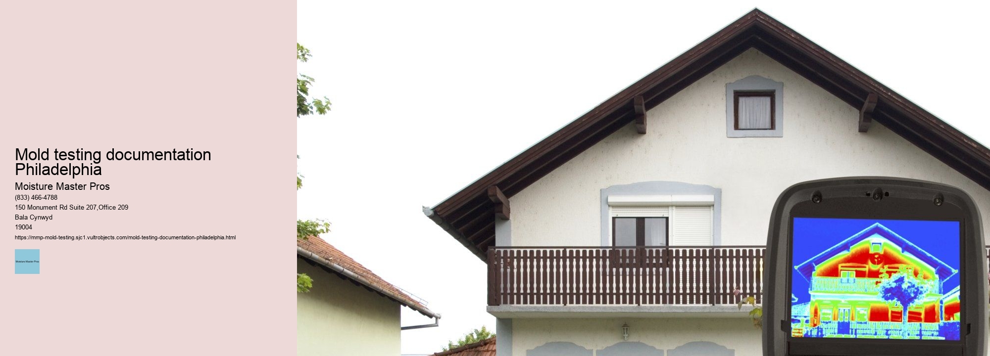What is the Impact of Neglecting Mold Testing in Philadelphia Properties? 
