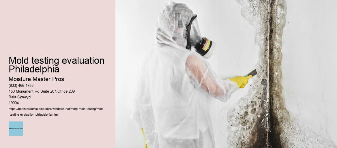 Mold testing evaluation Philadelphia