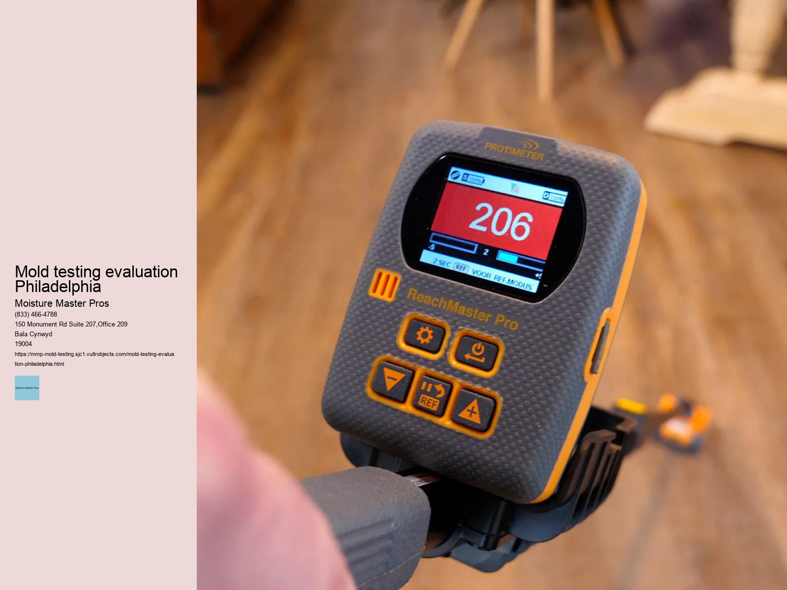 How to Choose the Right Professionals for Mold Testing in Philadelphia