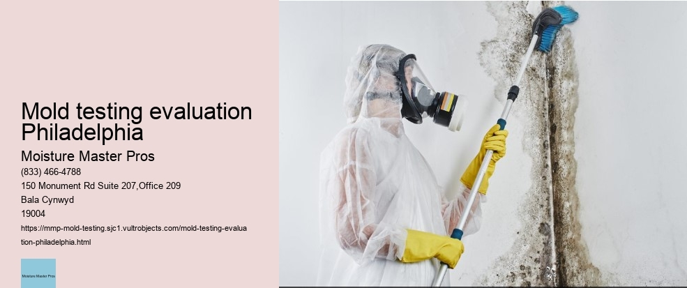 What is the Significance of Mold Testing in Philadelphia Homes?