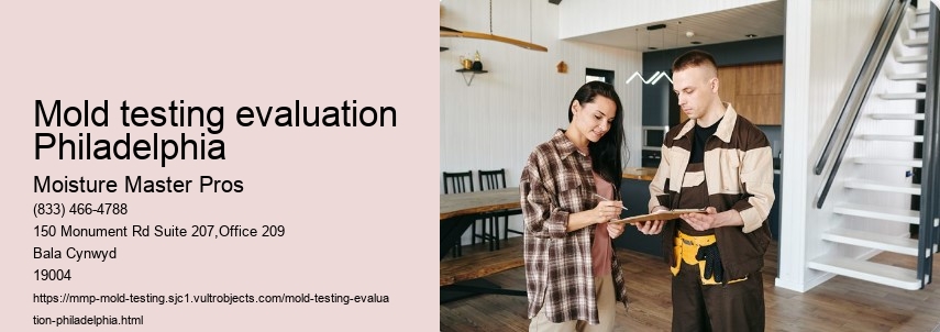 What is the Process of Mold Testing in Philadelphia?