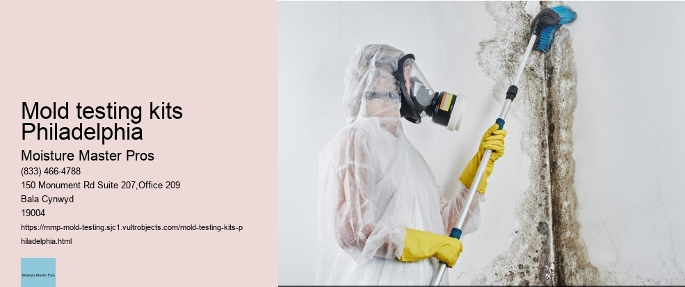 How to Find Reliable Mold Testing Services in Philadelphia