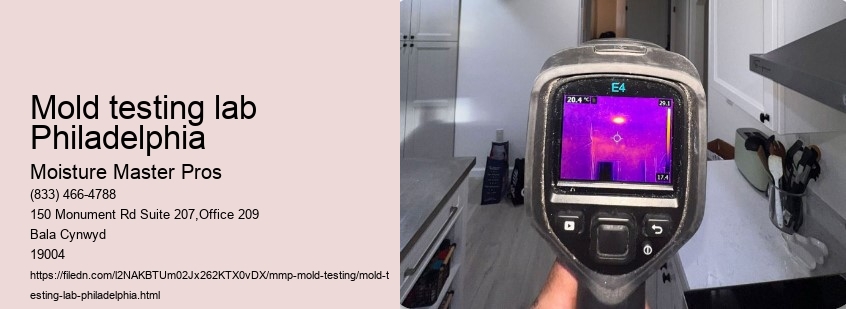 Mold testing lab Philadelphia