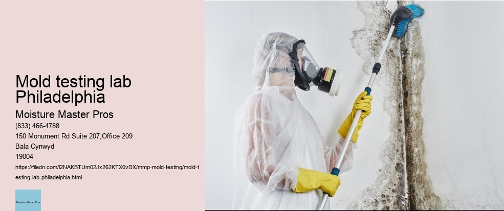 What is the Impact of Neglecting Mold Testing in Philadelphia Properties? 