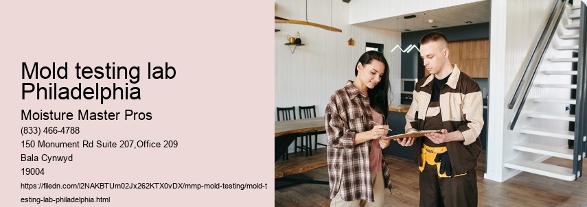 What is Involved in Professional Mold Testing Services in Philadelphia?