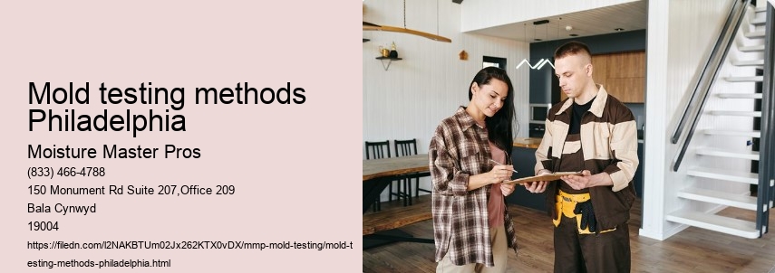 Your Guide on How to Schedule a Professional Mold Test in Philadelphia