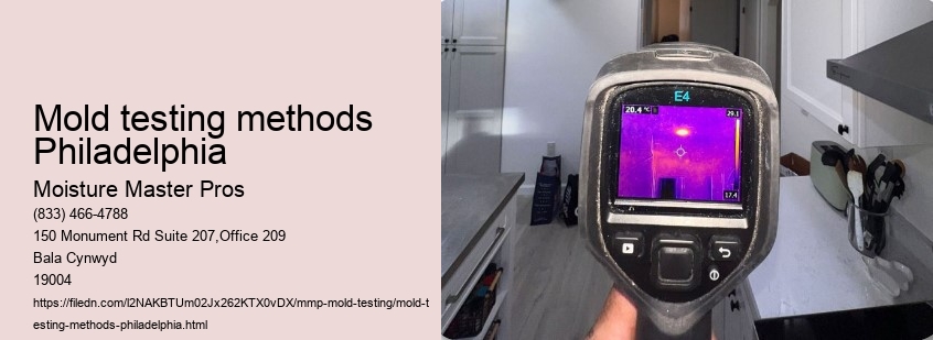 Mold testing methods Philadelphia