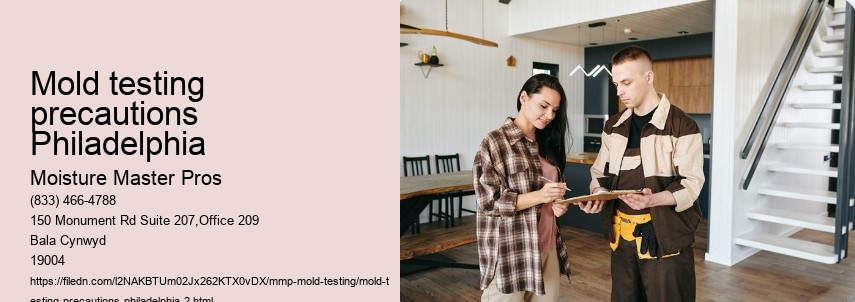 What is the Role of Certified Inspectors in Philadelphia Mold Testing? 
