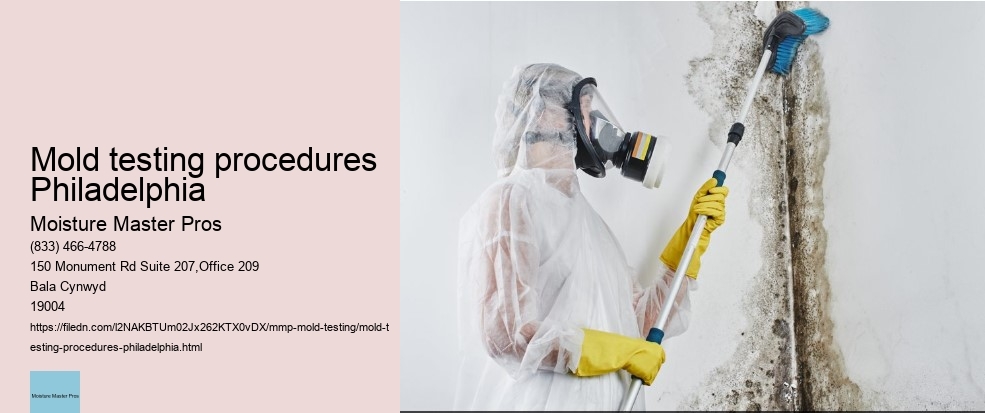 How to React when your Philadelphia Property Tests Positive for Mold