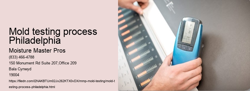 Mold testing process Philadelphia