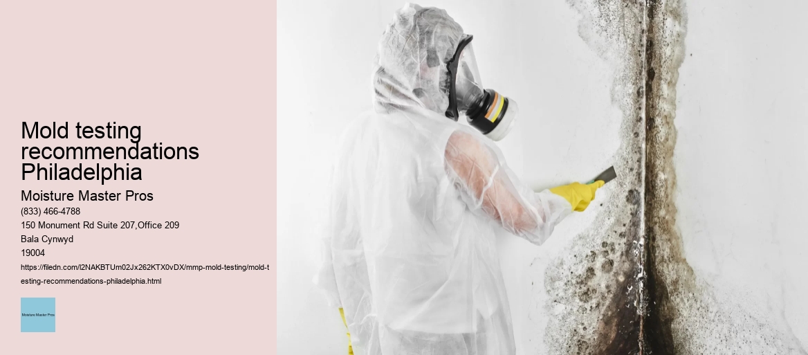 Mold testing recommendations Philadelphia