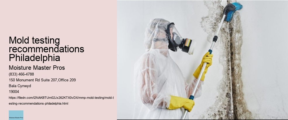 Tips on How to Ensure Accurate Results from Your Philadelphia Mold Test