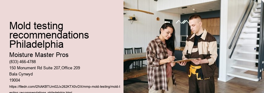 What is the Significance of Mold Testing in Philadelphia Homes?