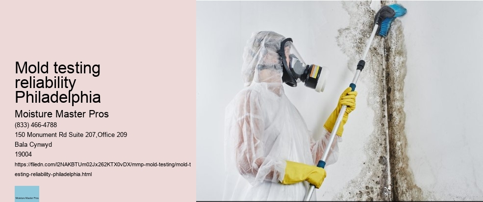 What is Involved in Professional Mold Testing Services in Philadelphia?