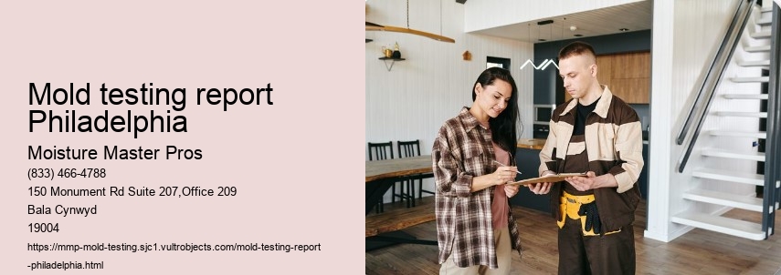 The importance of mold testing in Philadelphia homes.