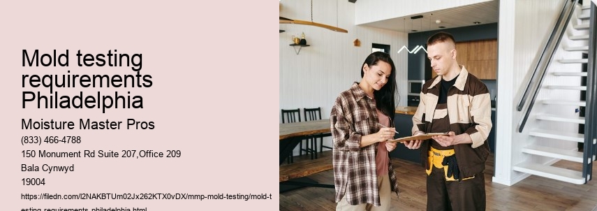 How to Conduct a DIY Mold Test in Your Philadelphia Home