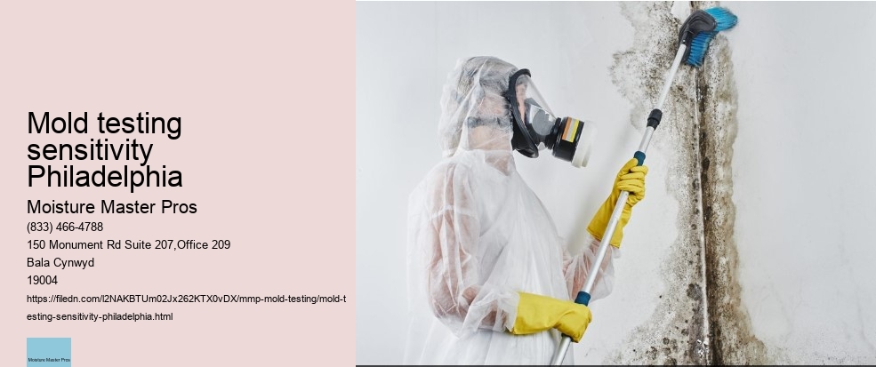How to React when your Philadelphia Property Tests Positive for Mold