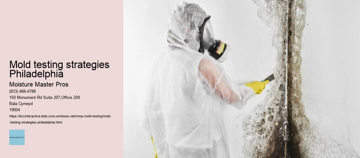 Mold testing strategies Philadelphia