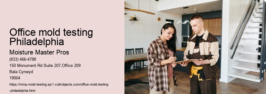 What is the Process of Mold Testing in Philadelphia?