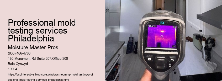 Professional mold testing services Philadelphia