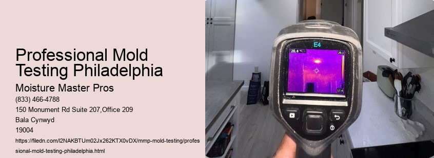 Professional Mold Testing Philadelphia