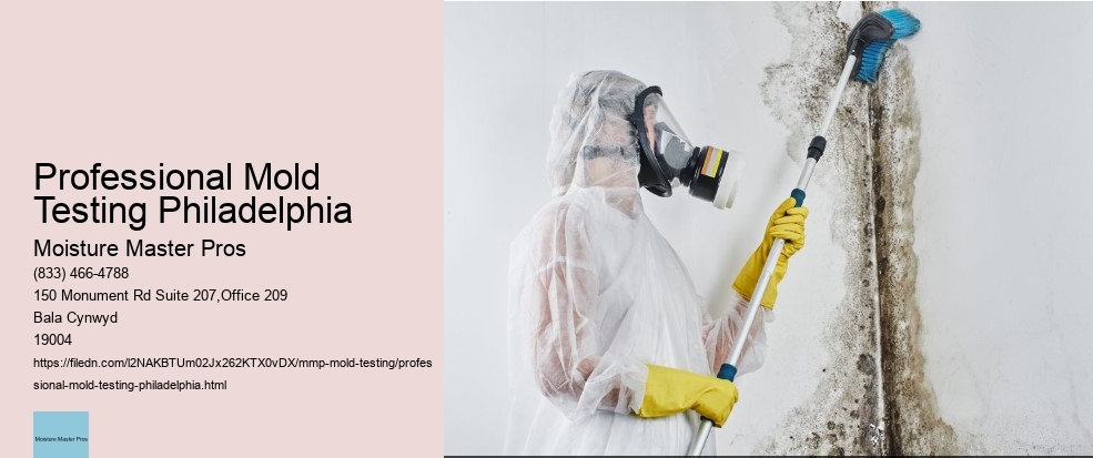 How to React when your Philadelphia Property Tests Positive for Mold