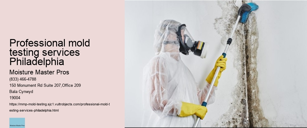 How to React when your Philadelphia Property Tests Positive for Mold