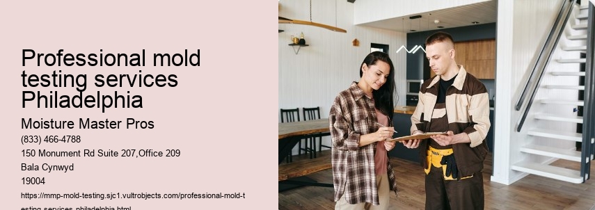 Exploring the relationship between moisture level and mold growth: A focus on Philadelphia's climate.
